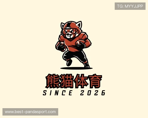 认识熊猫体育团队